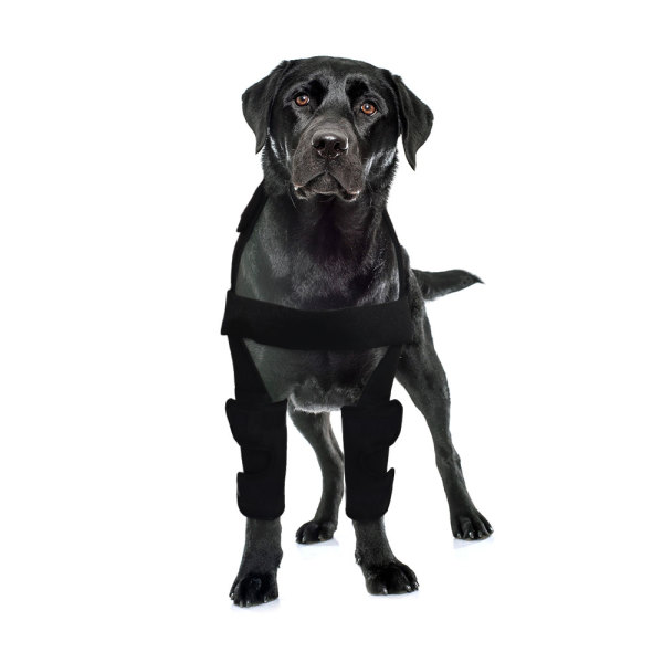 Elbow Brace for Dog Post Elbow Surgery Injury