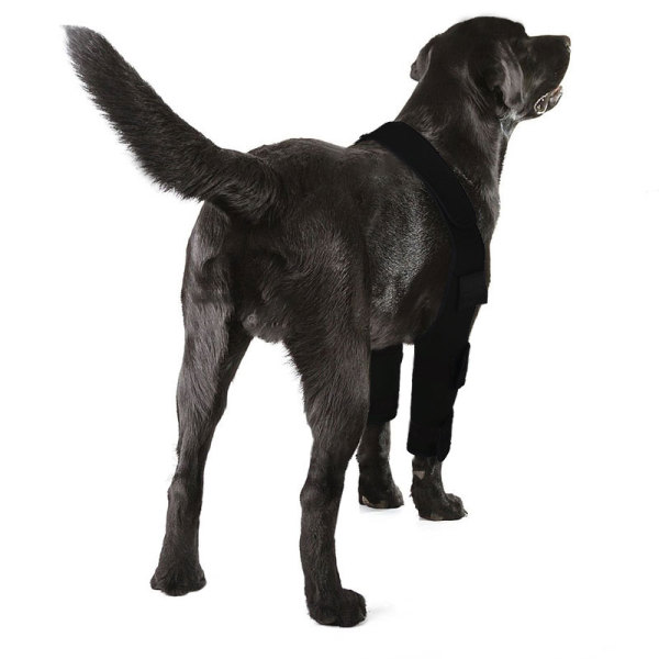 Elbow Brace for Dog Post Elbow Surgery Injury