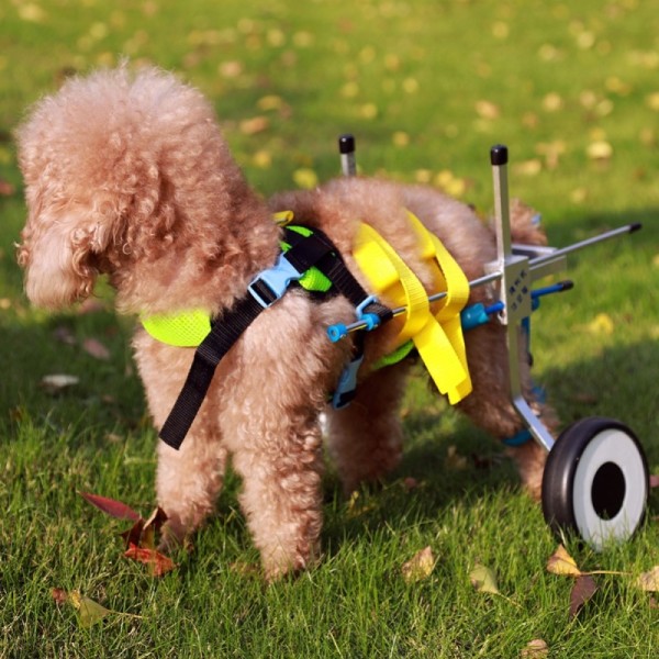 Dog Wheelchair for Paralyzed Hind Legs