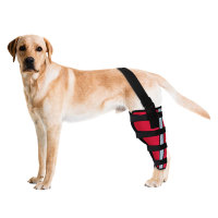 Dog Brace for Torn ACL Left Rear Leg 