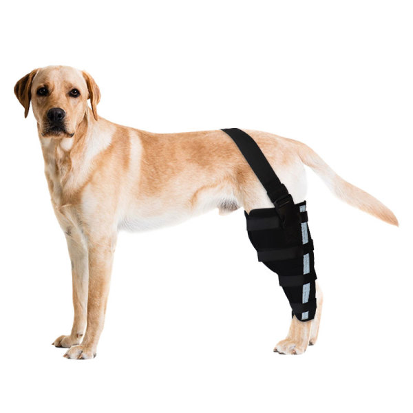 Dog Brace for Torn ACL Left Rear Leg 