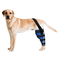 Dog Brace for Torn ACL Left Rear Leg 