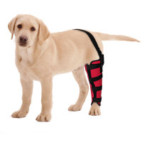 Dog Brace for Torn ACL Left Rear Leg 