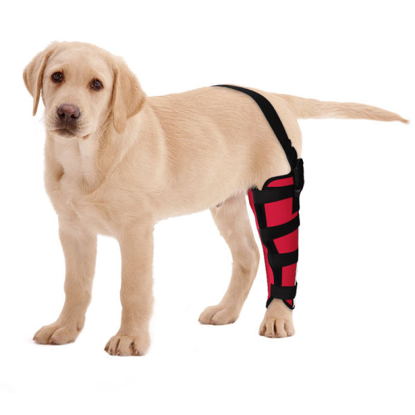 Dog Brace for Torn ACL Left Rear Leg 