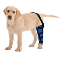 Dog Brace for Torn ACL Left Rear Leg 
