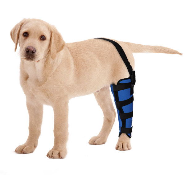 Dog Brace for Torn ACL Left Rear Leg 