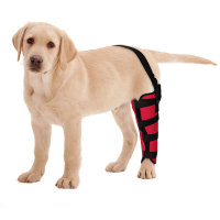 Dog Knee Brace for Torn ACL Left Rear Leg Support 