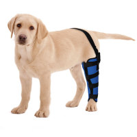 Dog Knee Brace for Torn ACL Left Rear Leg Support 