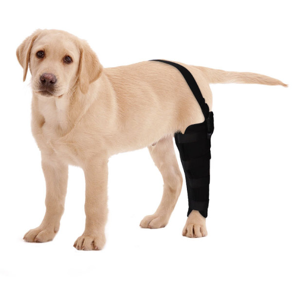 Dog Knee Brace for Torn ACL Left Rear Leg Support 