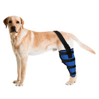 Dog Knee Brace for Torn ACL Left Rear Leg Support 