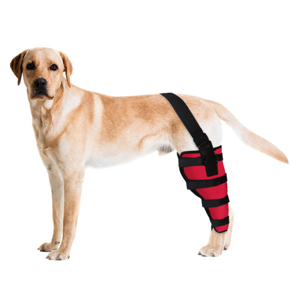 Dog Knee Brace for Torn ACL Left Rear Leg Support 