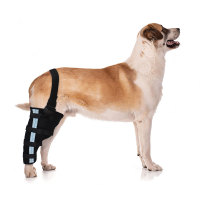 Dog ACL Brace Right Rear Leg Knee Brace