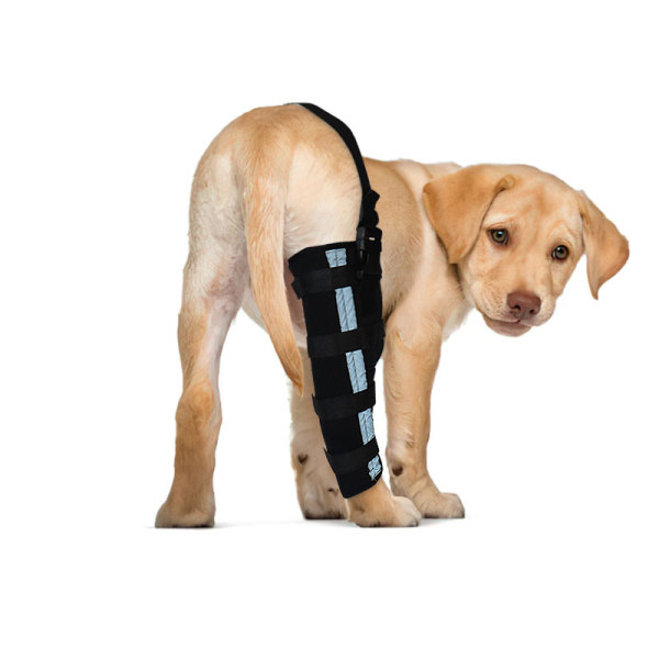 Dog ACL Brace Right Rear Leg Knee Brace