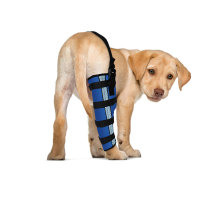 Dog ACL Brace Right Rear Leg Knee Brace