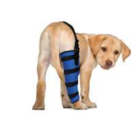 Dog Brace for Torn ACL Right Rear Leg Support