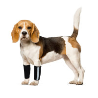 Carpal Hyperextension Dog Brace for Dogs Arthritis Injuries