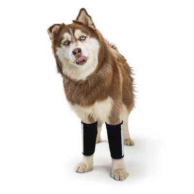 Carpal Hyperextension Dog Brace for Dogs Arthritis Injuries