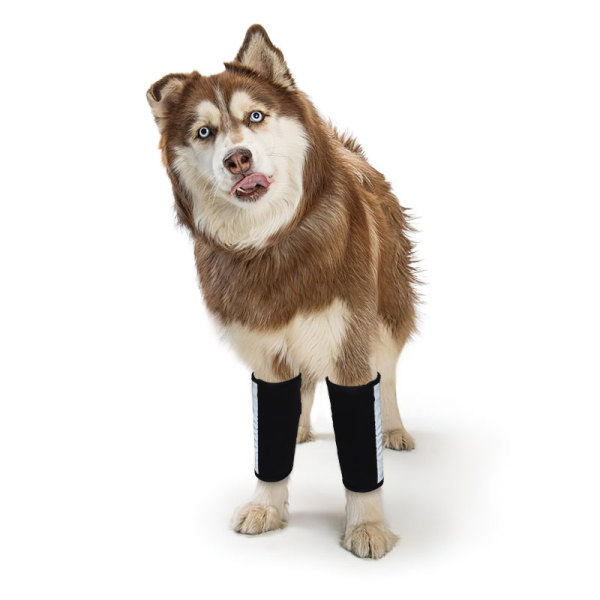 Carpal Hyperextension Dog Brace for Dogs Arthritis Injuries