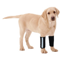 Carpal Hyperextension Dog Brace for Dogs Arthritis Injuries
