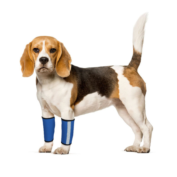 Carpal Hyperextension Dog Brace for Dogs Arthritis Injuries