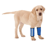 Carpal Hyperextension Dog Brace for Dogs Arthritis Injuries