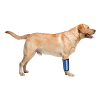 Carpal Hyperextension Dog Brace for Dogs Arthritis Injuries