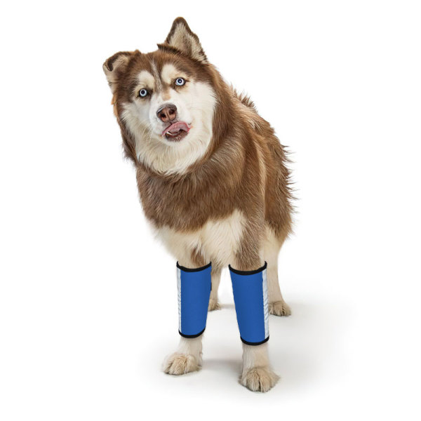 Carpal Hyperextension Dog Brace for Dogs Arthritis Injuries
