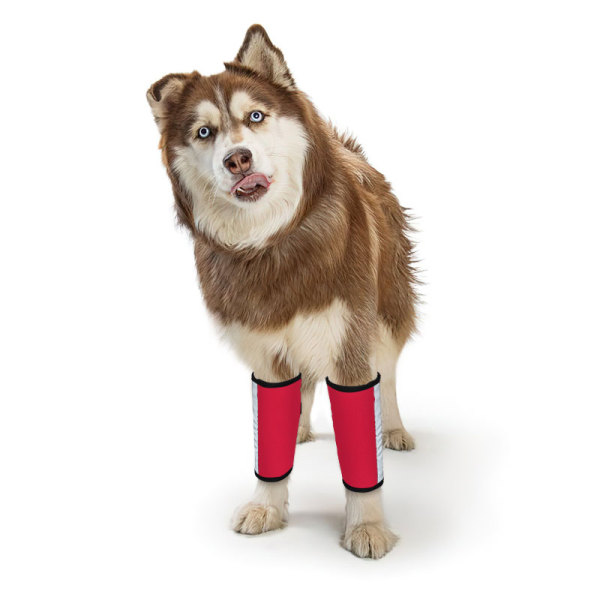 Carpal Hyperextension Dog Brace for Dogs Arthritis Injuries