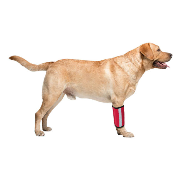 Carpal Hyperextension Dog Brace for Dogs Arthritis Injuries