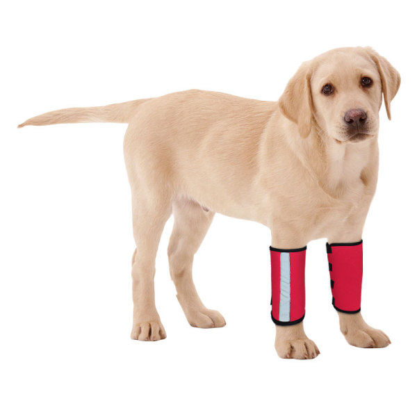 Carpal Hyperextension Dog Brace for Dogs Arthritis Injuries