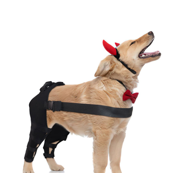 Dog Knee Brace Post Surgery Injury