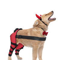 Dog Knee Brace Post Surgery Injury