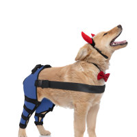 Dog Knee Brace Post Surgery Injury