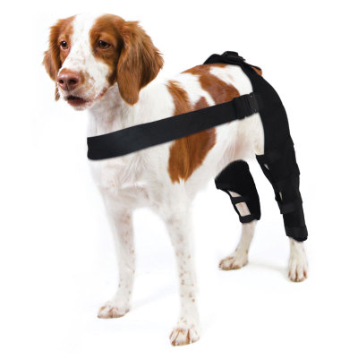 Dog Knee Brace Post Surgery Injury