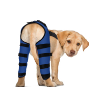 Dog Knee Brace Post Surgery Injury