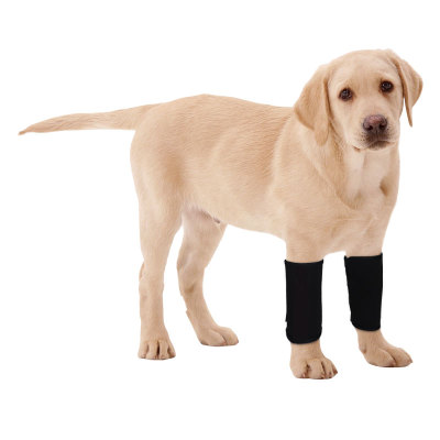 Dogs Wrist Brace for Arthritis Injuries
