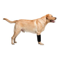 Dogs Wrist Brace for Arthritis Injuries