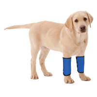 Dogs Wrist Brace for Arthritis Injuries