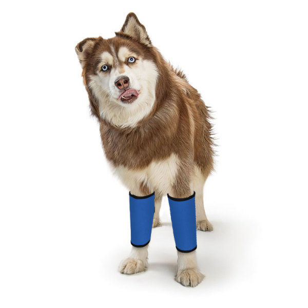 Dogs Wrist Brace for Arthritis Injuries