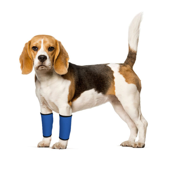 Dogs Wrist Brace for Arthritis Injuries