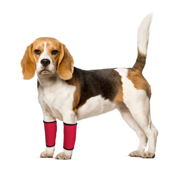 Dogs Wrist Brace for Arthritis Injuries