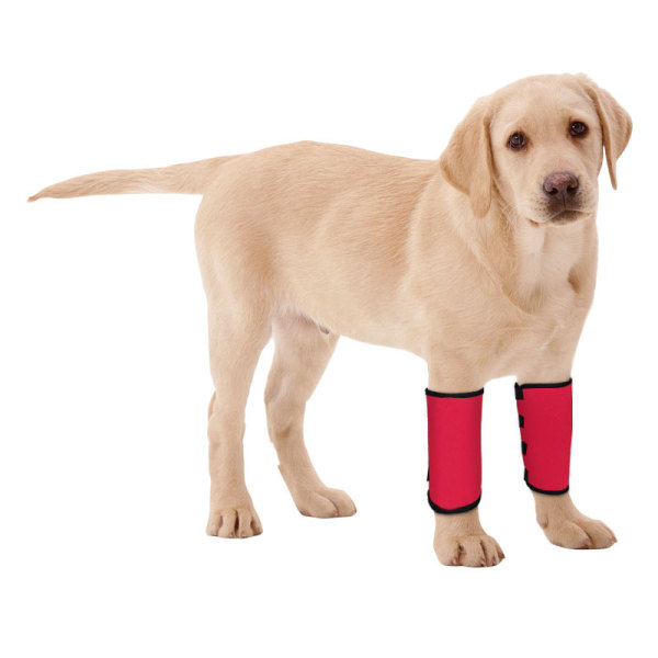 Dogs Wrist Brace for Arthritis Injuries
