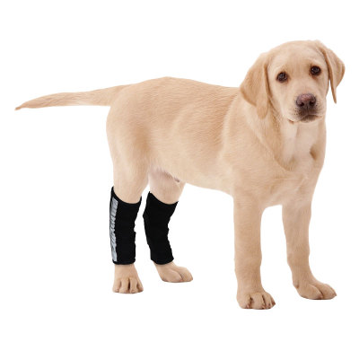 Dog Hock Ligament Brace Wrap Post Surgery Injury