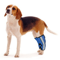 Dog Hock Ligament Brace Wrap Post Surgery Injury