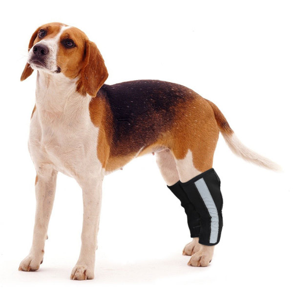 Dog Hock Ligament Wrap Brace Post Surgery Injury