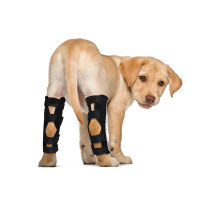 Dog Hock Ligament Wrap Brace Post Surgery Injury