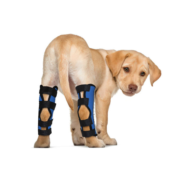 Dog Hock Ligament Wrap Brace Post Surgery Injury