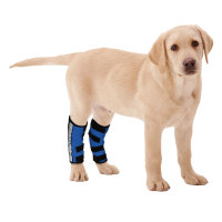 Dog Hock Ligament Wrap Brace Post Surgery Injury