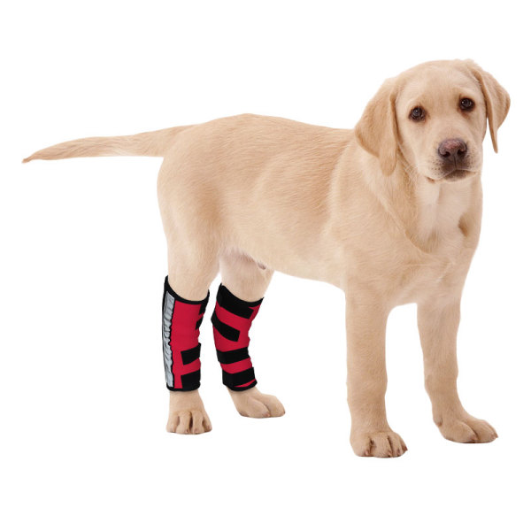 Dog Hock Ligament Wrap Brace Post Surgery Injury