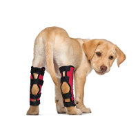 Dog Hock Ligament Wrap Brace Post Surgery Injury